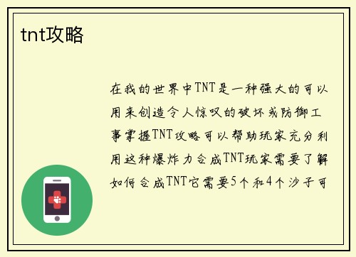 tnt攻略
