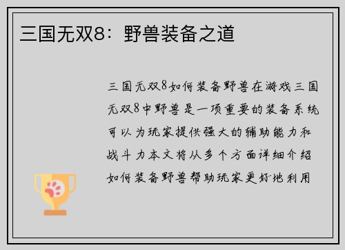 三国无双8：野兽装备之道